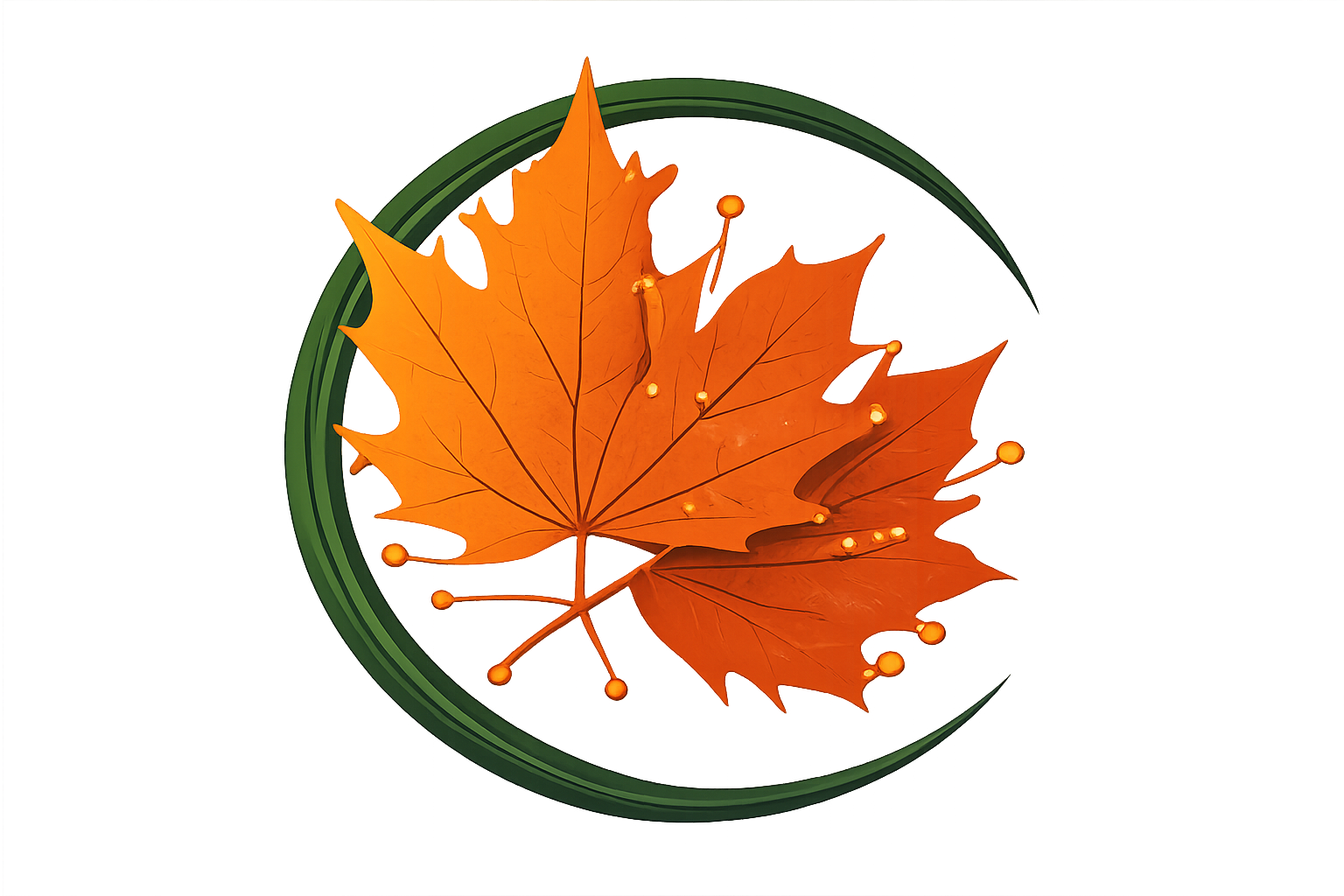 CedarMapleTek logo